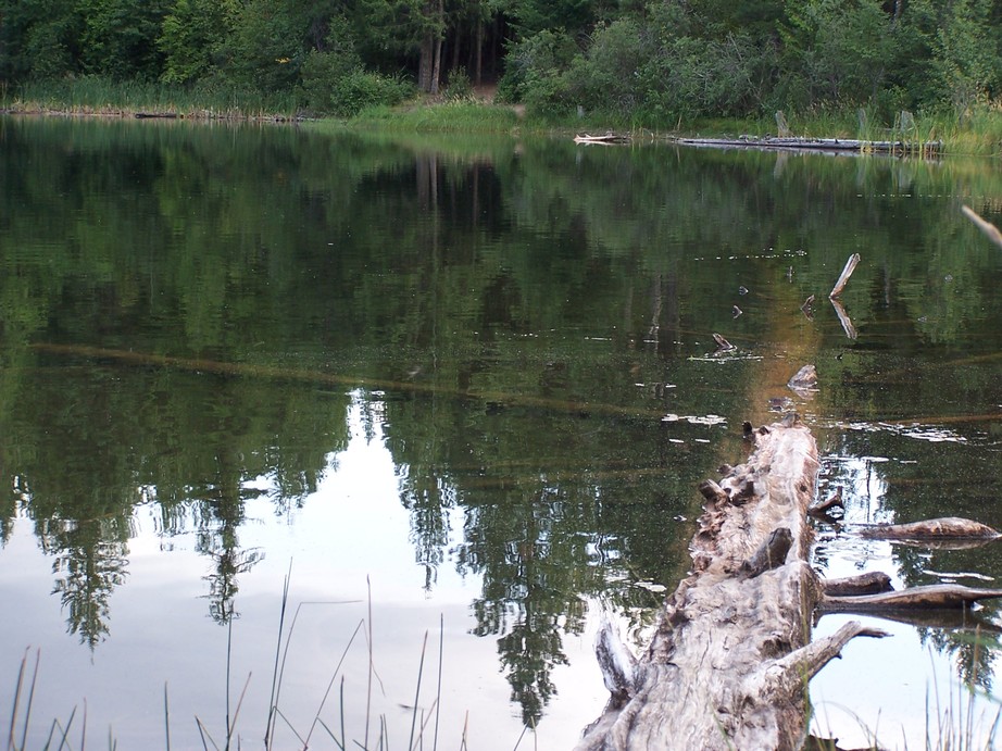 Clark Fork, ID Great Fishing Spot on Antelope Lake Just above Clark