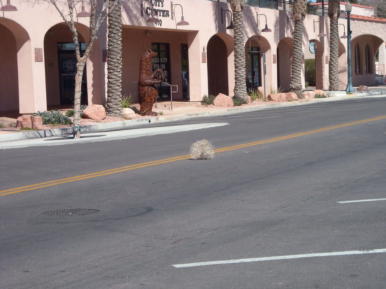 Boulder City, NV : Tumbleweed, Nevada Way, Boulder City, NV