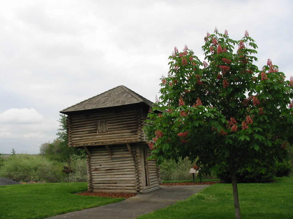 Echo, OR: Red Horsechestnut in Fort Henrietta Park