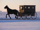 Tuscola, IL : A Cold Winter Day on a country road in Tuscola