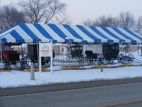 Tuscola, IL : Used buggy lot on outskirts of Tuscola, IL