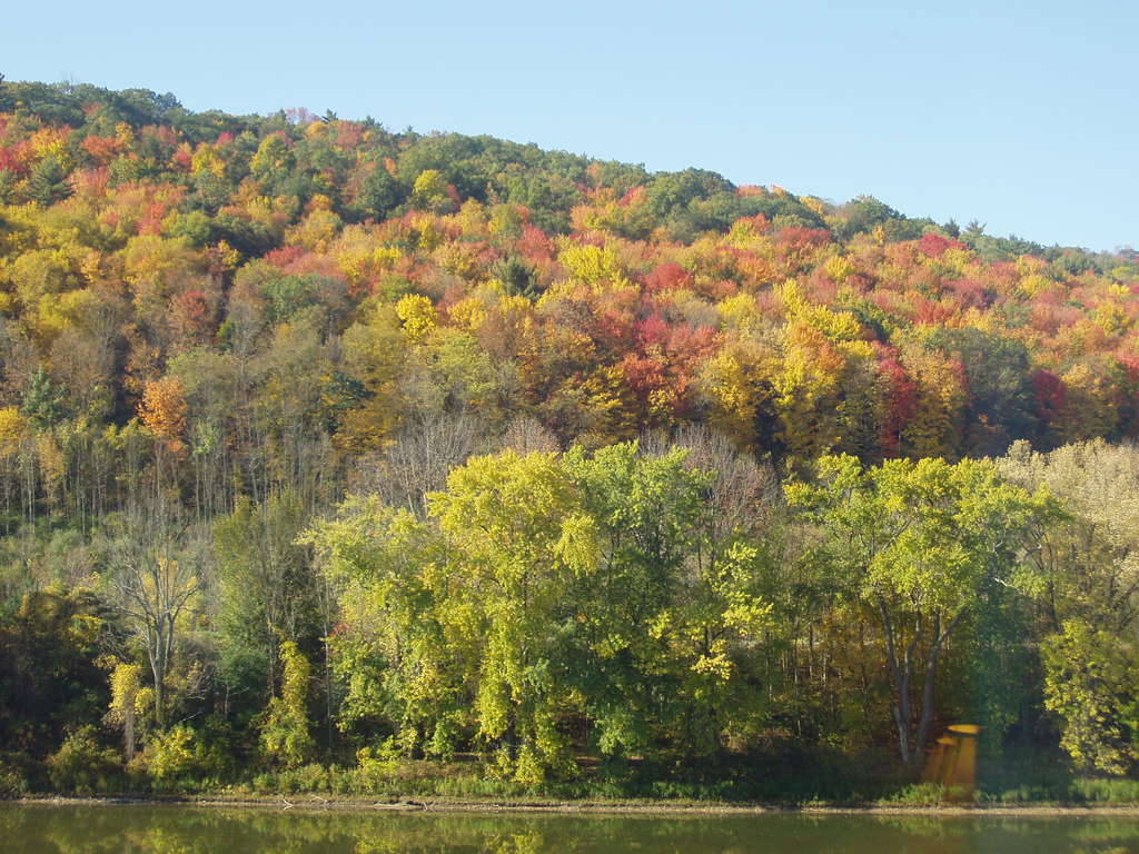 Owego, NY : Autumn on the river