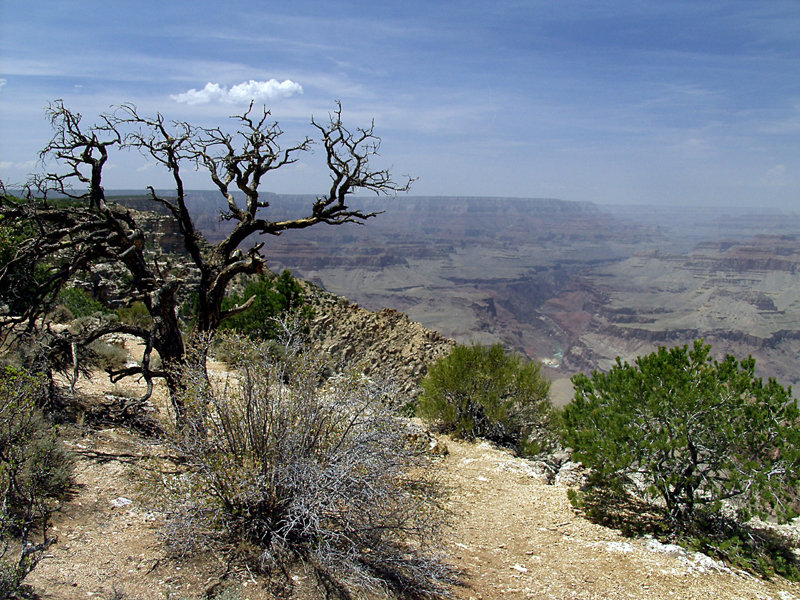 Grand Canyon Village, AZ: View from the South Rim.