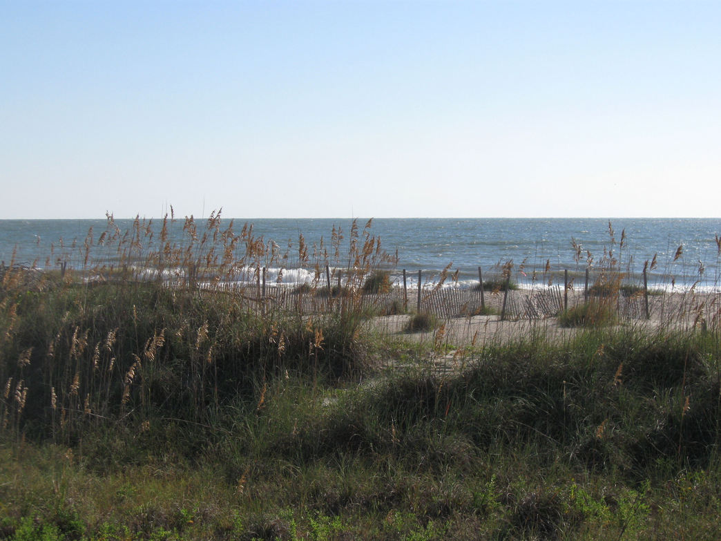 Tybee Island, GA  Tybee Island beach photo, picture, image (Georgia