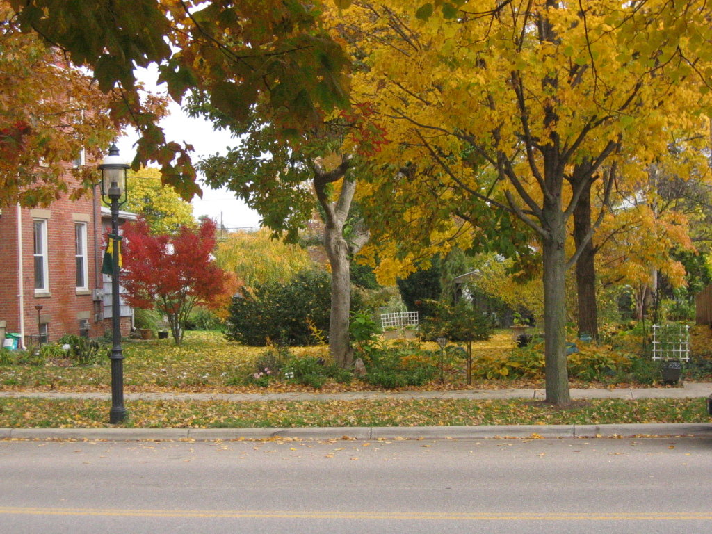 Canal Winchester, OH : Autumn In Canal Winchester