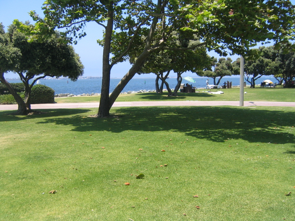 Chula Vista, CA : Picnic at Bayfront