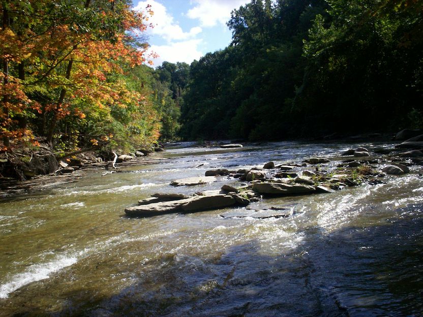 North East, PA: Twent mile creek - fall