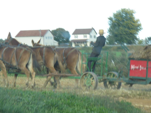 Lancaster, PA: Amish young boy driving the team.