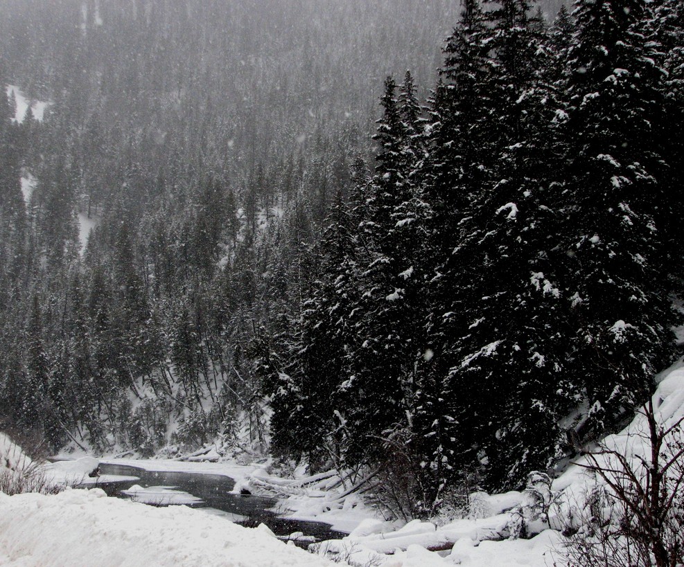 Salmon, ID : Salmon River  south of Challis