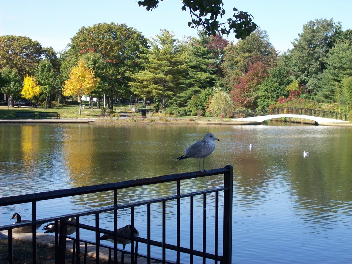 Baldwin, NY: Silver Lake Park, Baldwin, NY