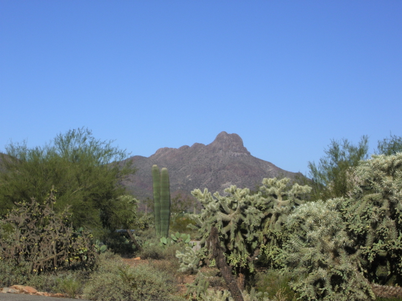 Marana, AZ: sombrero peak from my house off ina rd.