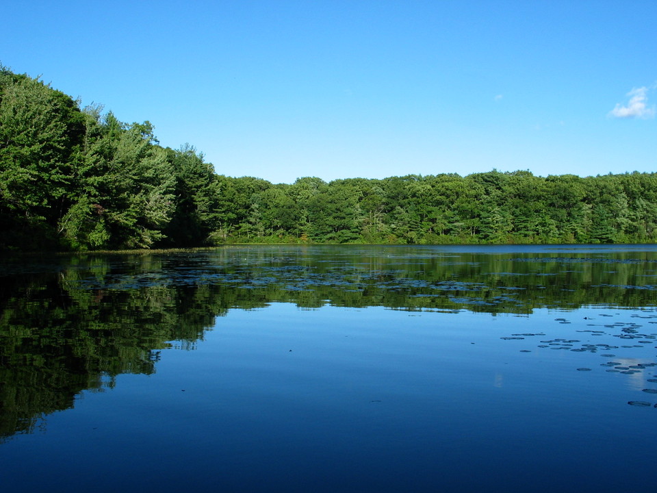 Paxton, MA Moore State Park photo, picture, image (Massachusetts) at