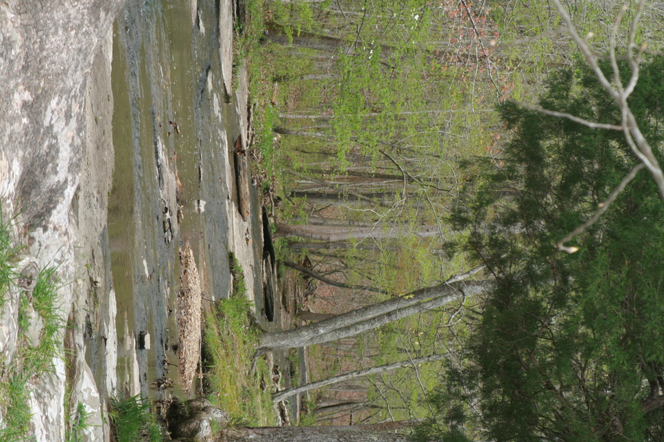 Dickson, TN: Montgomery Bell State Park in the Spring