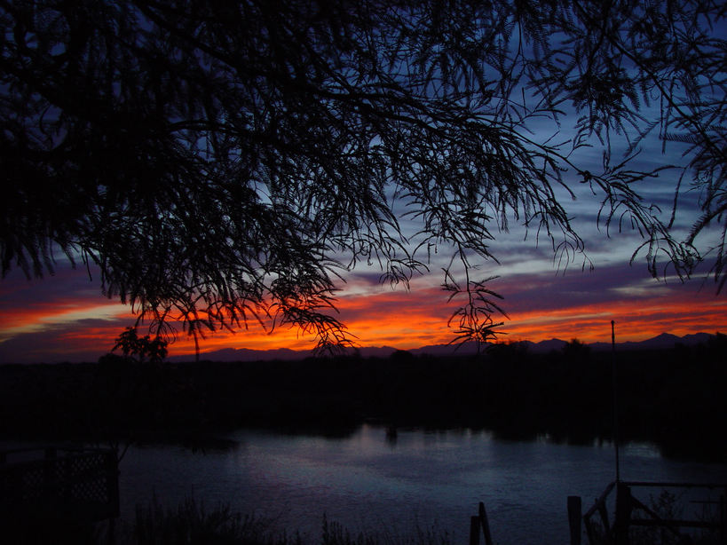 Palo Verde, CA : Sunrise over the Lagoon