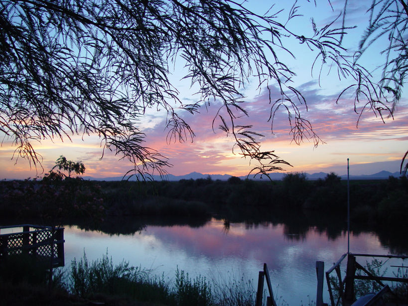 Palo Verde, CA : Palo Verde Lagoon 2