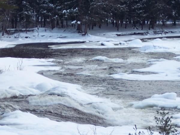 Forestport, NY : Black River