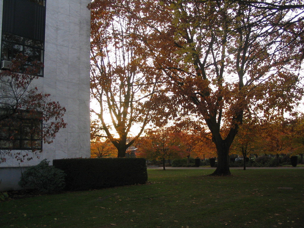 Salem, OR : Sunset at the Capitol mall