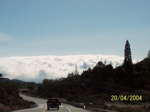 Frazier Park, CA : Overcast in the valley(My morning vue from Frazier Park)