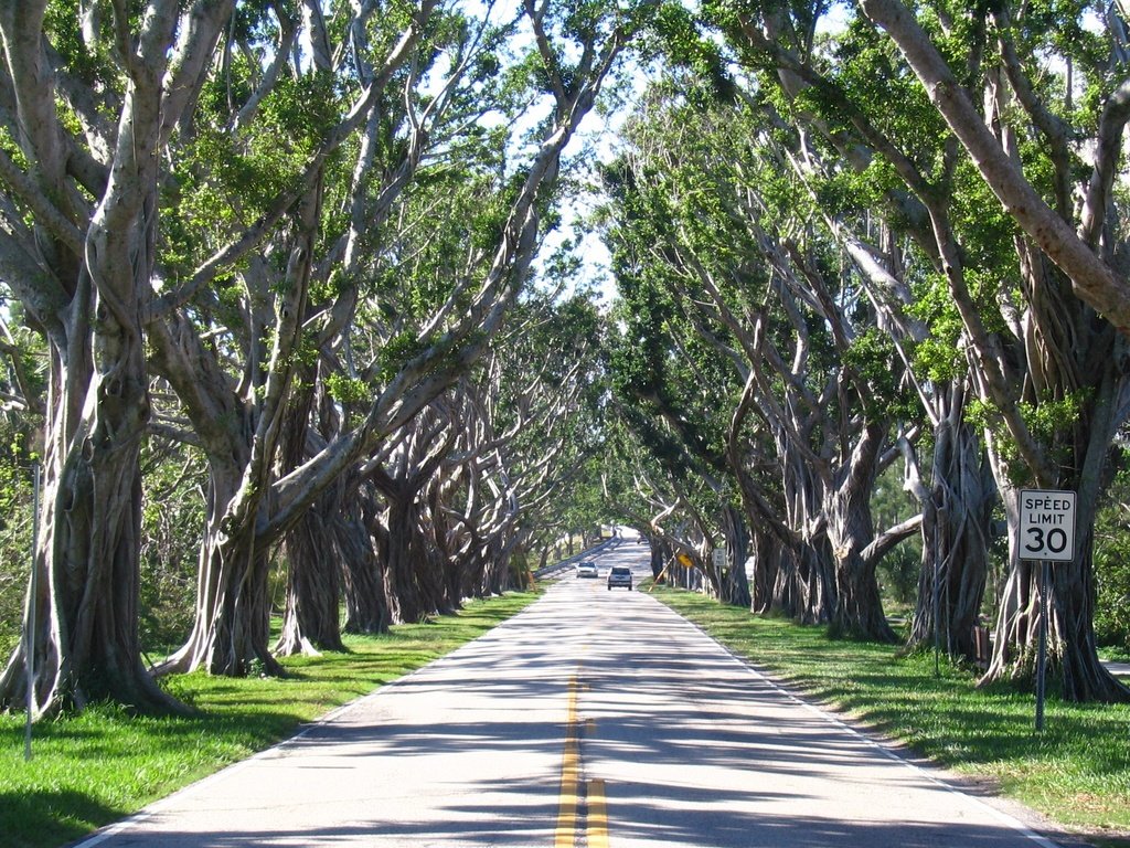 Hobe Sound, FL: Bridge Road