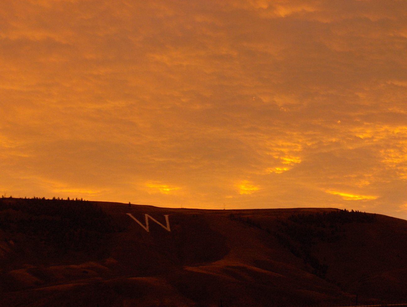 Gunnison, CO : Tenderfoot mountain aka "W" mountain photo, picture