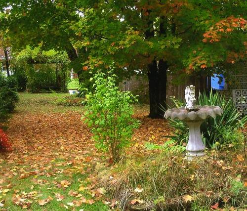La Follette, TN : This is why we are buying a house in LaFollette in Dec. on Tenn. Ave.  it will be my yard.