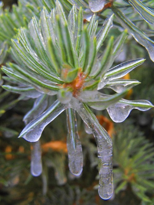 Meeker, CO : First freeze in Meeker, Co 08
