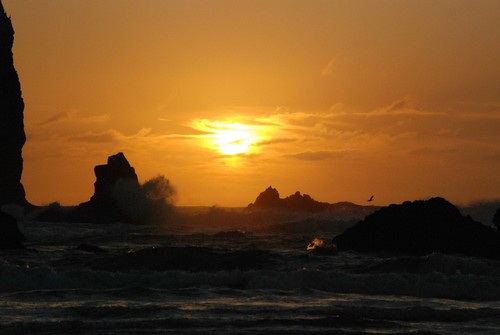 Cannon Beach, OR : Haystack Rock at sunset