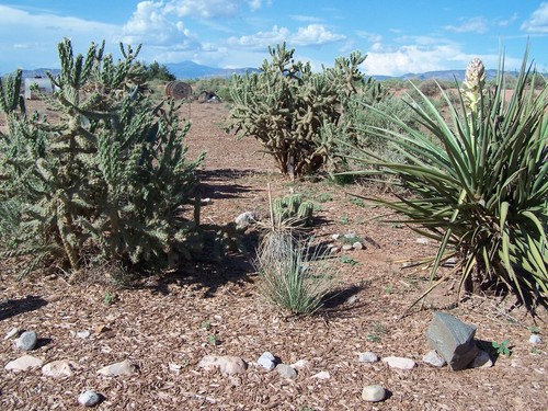 Tularosa, NM : Mariposa lane