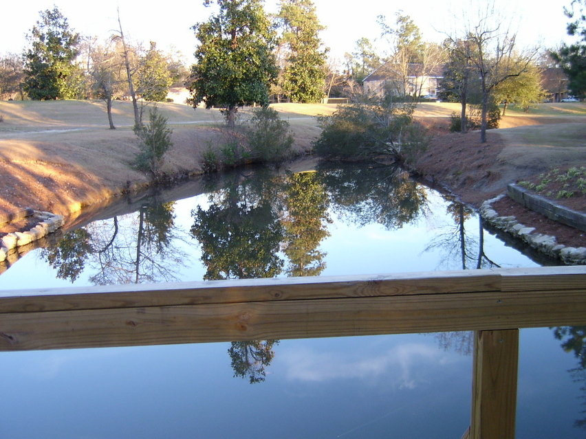Sumter, SC : POND AT SWAN LAKE IRIS GARDENS IN SUMTER SOUTH CAROLINA