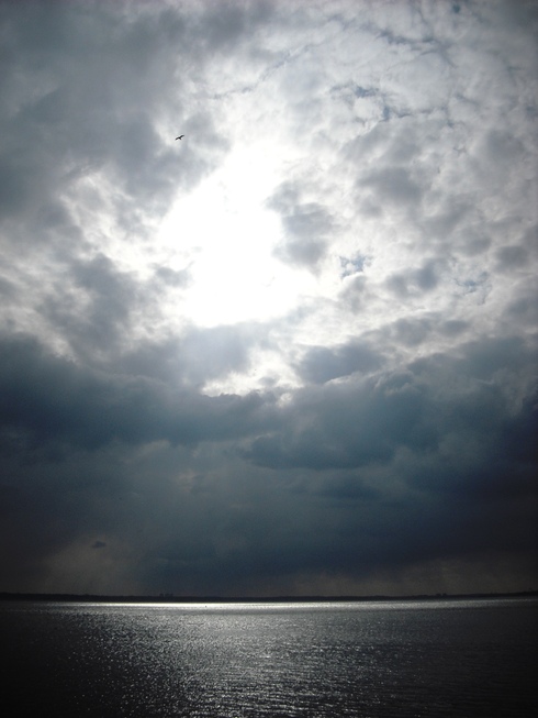 Larchmont, NY : Manor Park, Larchmont - Winter Morning Sky