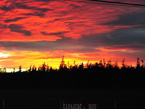 Freeland, WA : Freeland Sunset over the Olympics November 2008
