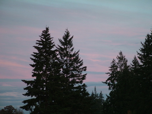 Forest Grove, OR : Sunset outside of house in Forest Grove