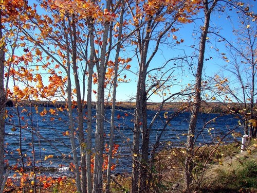 Alexander, ME : Pleasant Lake is a perfect name