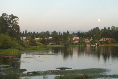 Milton, WA: August moon over Surprise Lake, Milton, WA, 2008