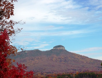 Pilot Mountain, NC : Pilot Mountain by Paula Calloway