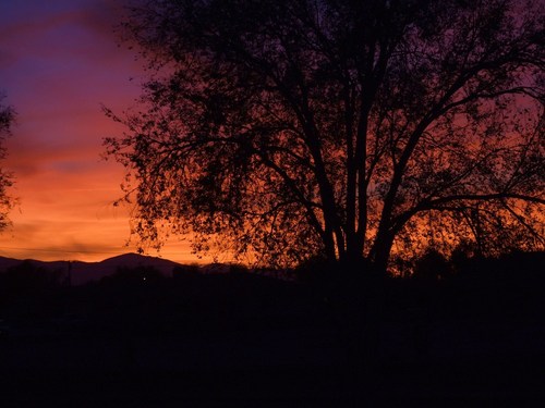 Apple Valley, CA: sunset in apple valley, ca