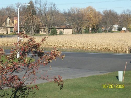 Olivia, MN : Olivia