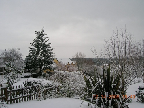 Sherwood, OR: Snow day, in Sherwood!