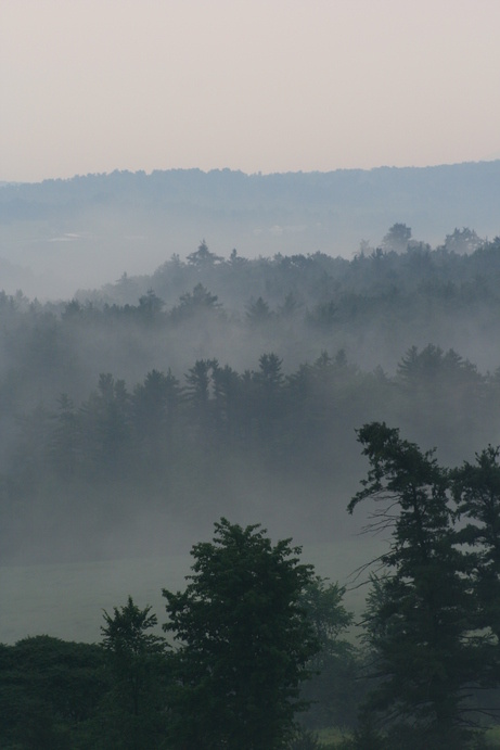 Bridport, VT : Back yard of a friend's house in July after a hard rain.