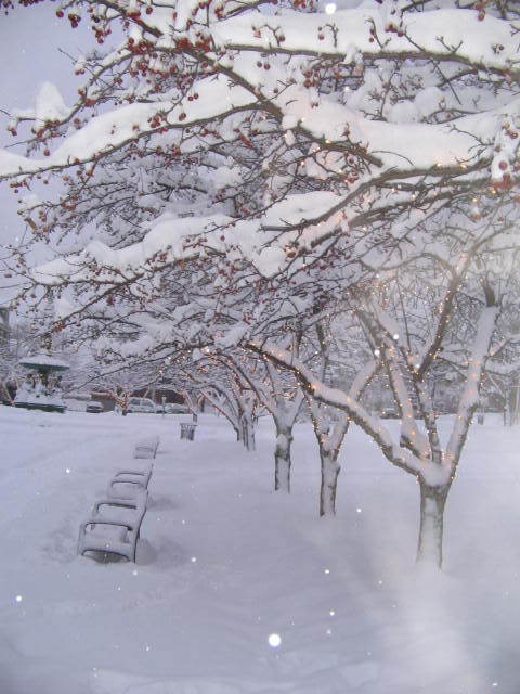 St. Albans, VT: Snowy Taylor Park