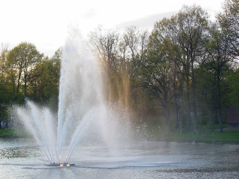 Ridley Park, PA: Ridley Park lake fountain