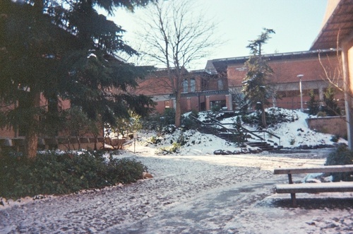 Shoreline, WA : Shoreline Community College