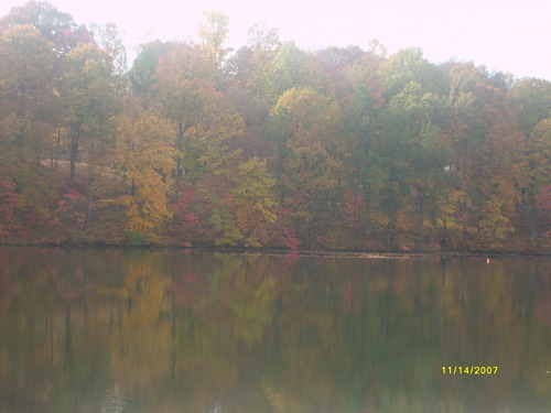 Dickson, TN: The Dickson City Lake on November 16, 2007