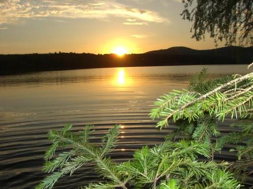 Cabot, VT : petersville