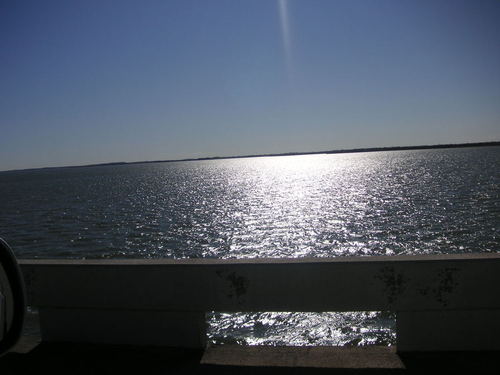 Valley View, TX : Lake Ray Roberts 1/6/2009