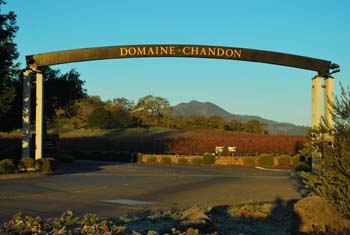 Yountville, CA: Domaine Chandon Winery