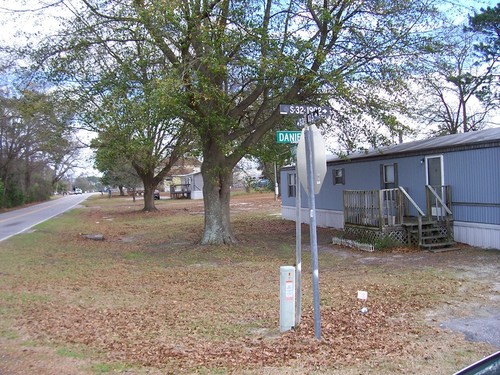 South Congaree, SC : A view from the corner of Ramblin Road and Daniel Road, South Congaree. Shot taken January 7, 2009 looking east.
