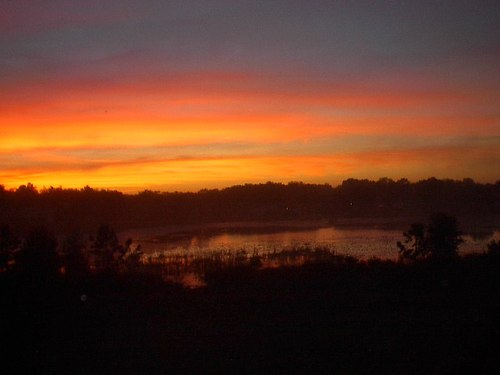 Sanford, FL : Sunrise in Sanford, FL