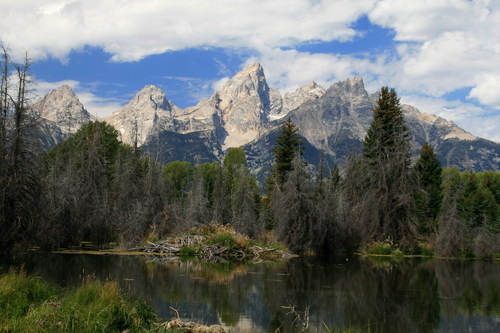 Jackson Hole, WY: Grand Teton, Cathedral Group from Swabacher's Landing