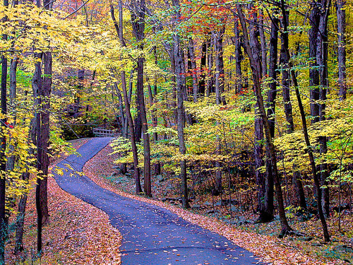 Dover, NJ : Hedden Park, Dover NJ